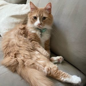 Meet your Posher, Eila